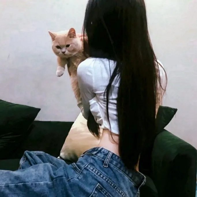 淘气飞行猴