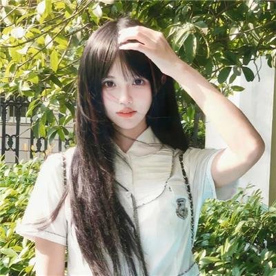 痞子猫